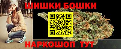 индика Аргун