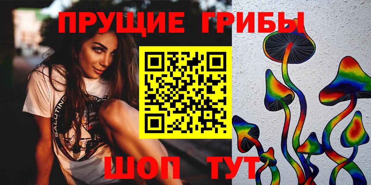 Псилоцибиновые грибы Psilocybe  Вход с VPN  Канаш 