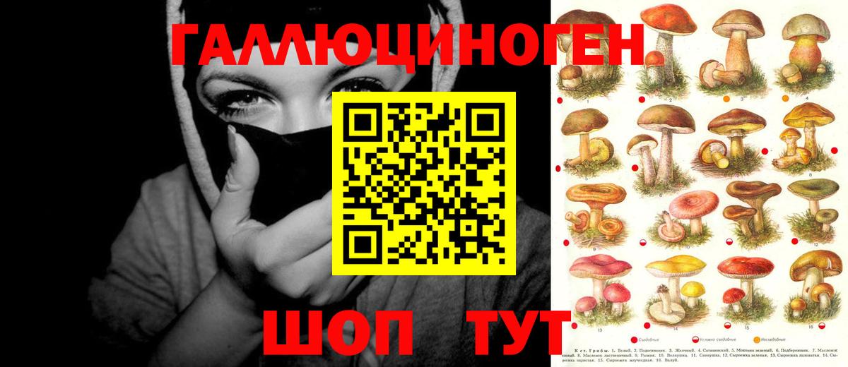 Галлюциногенные грибы Канаш